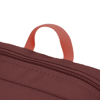 Antitheft Pacsafe Go Crossbody Bag - Burgundy