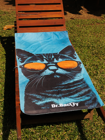 Dr.Bacty 70x140 double-sided quick-dry towel - Chill